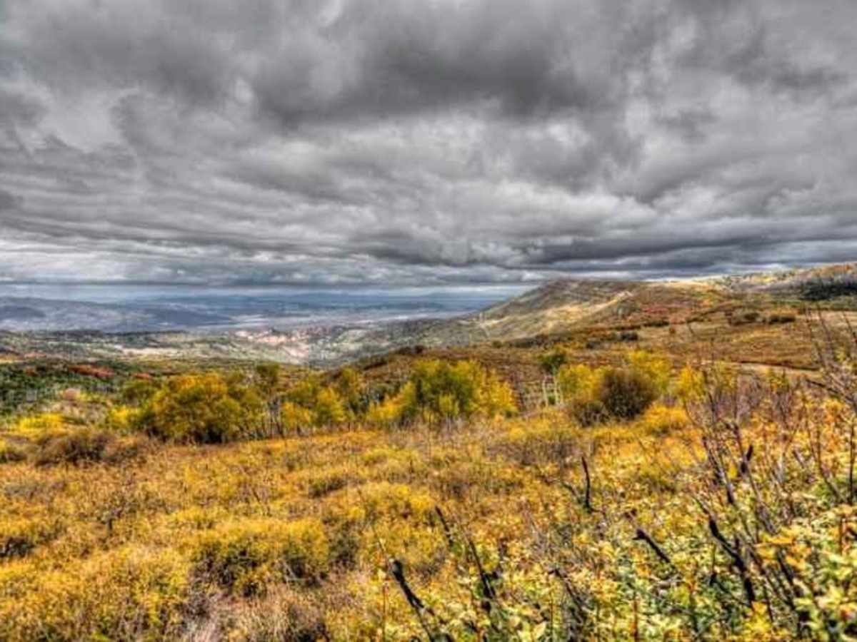 Upper Basin Road trail photo