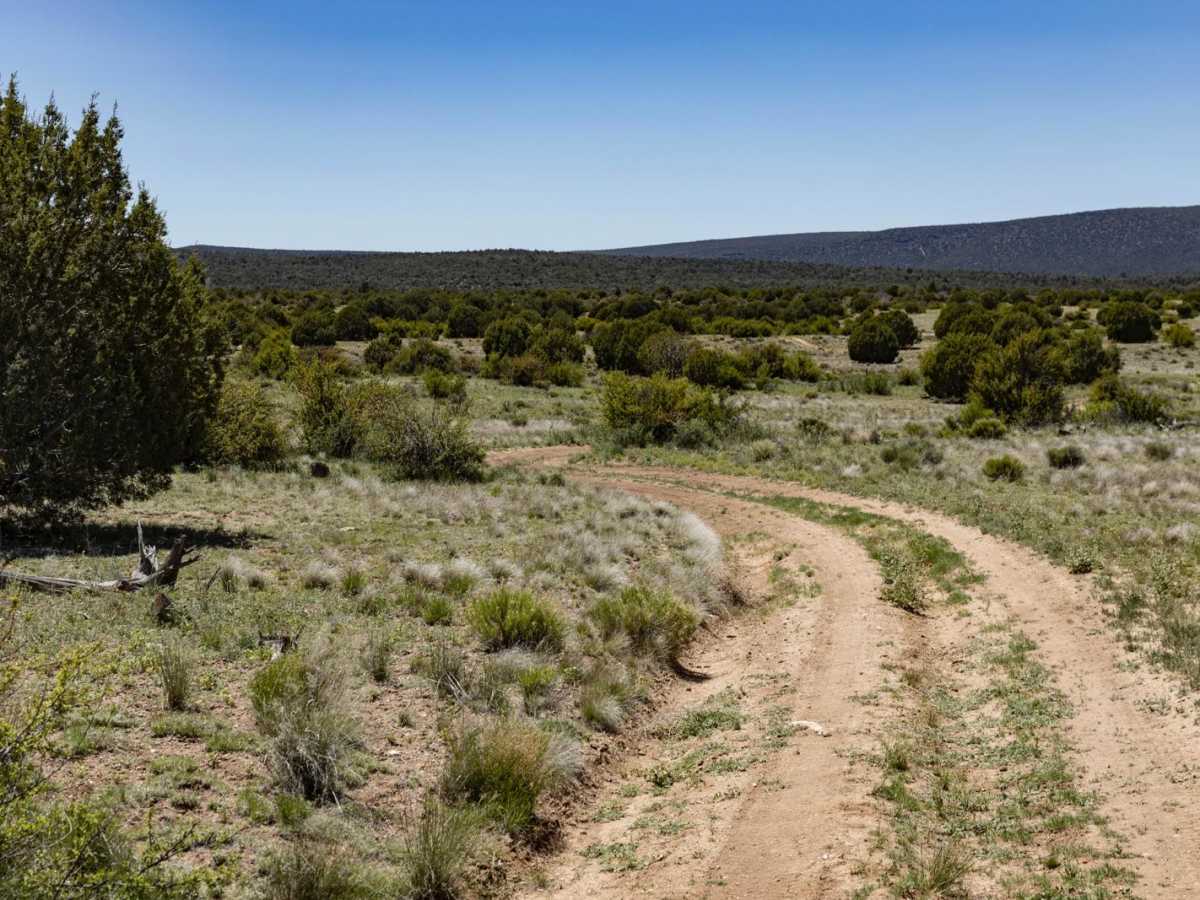 Javelina Camp photo 5
