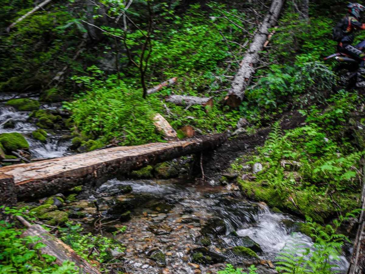 Chipmunk Creek photo 3