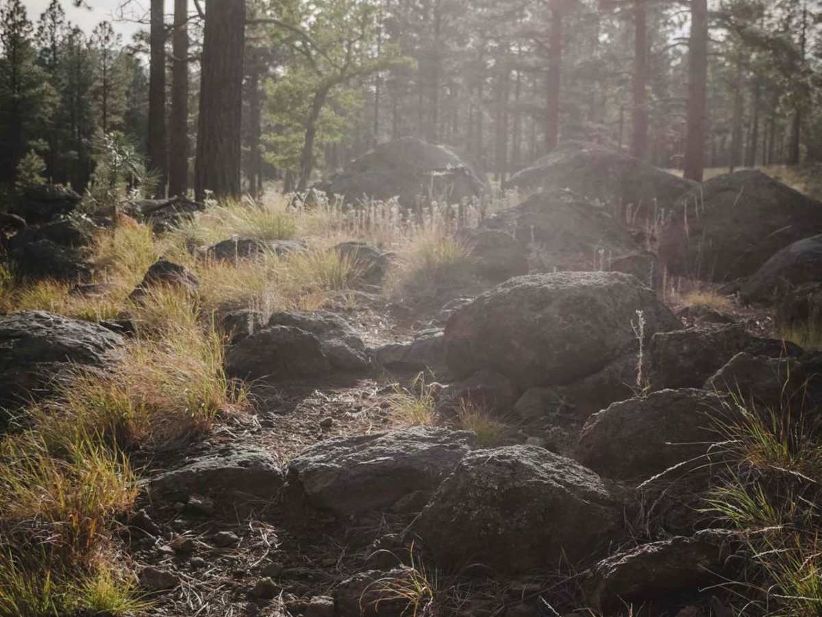 Rocky Moto photo 3