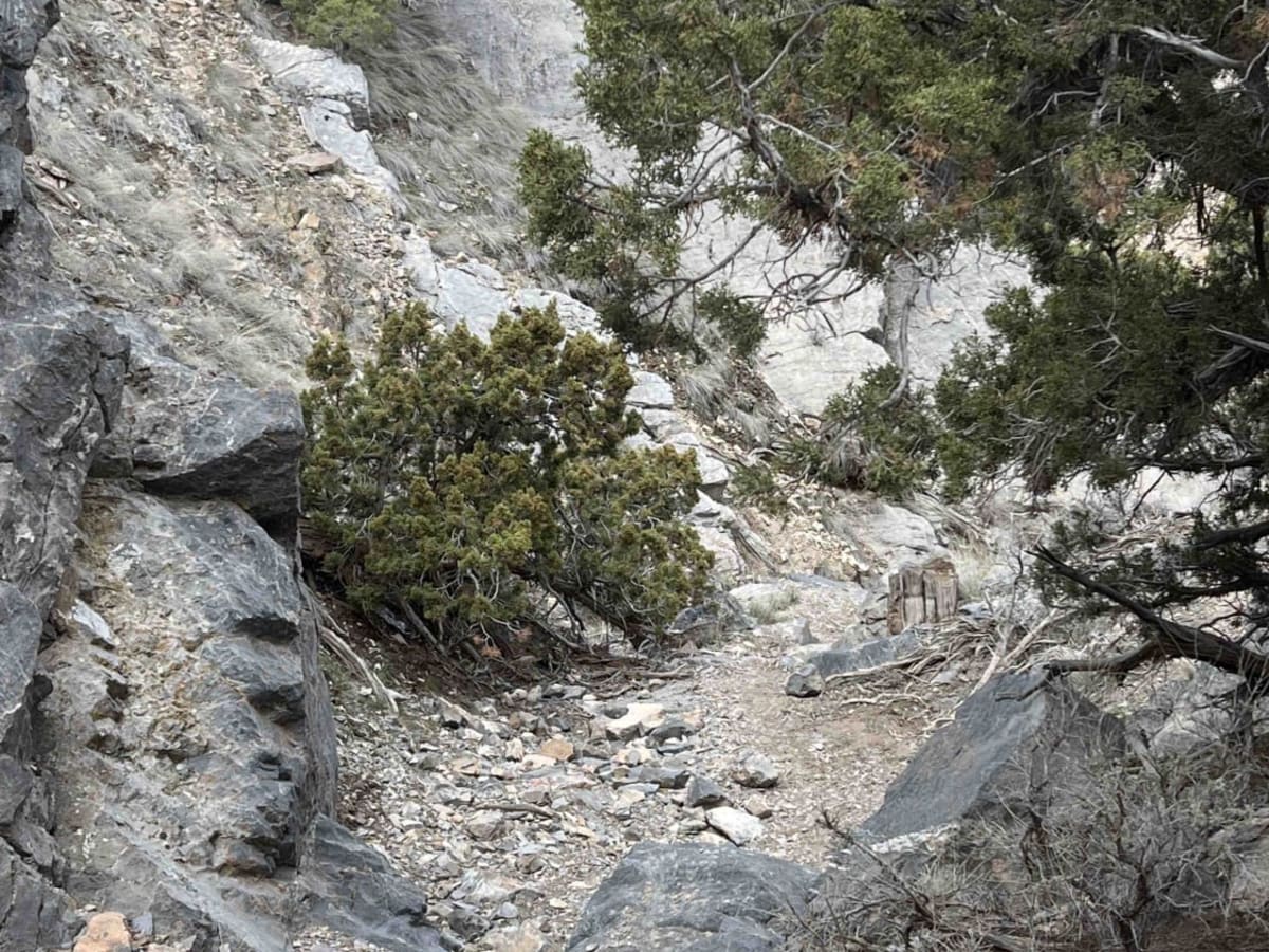 Rib Cage Canyon photo 5