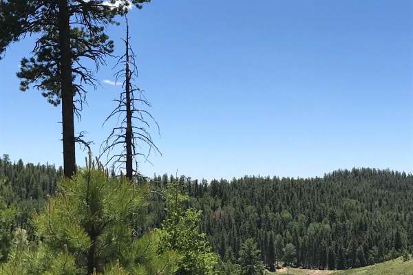 Twin Cabins - FR 527