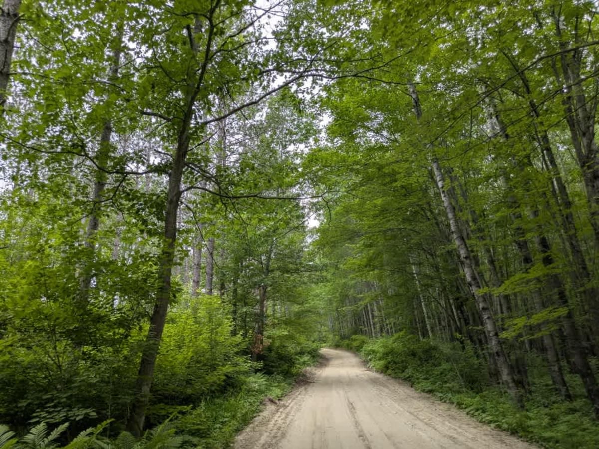 2487 trail photo