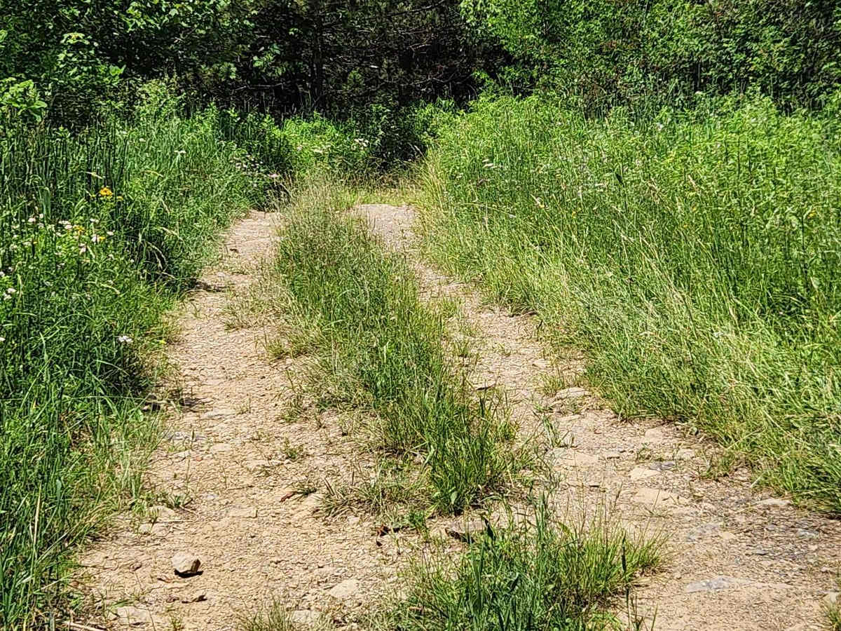 Trail 9 - Rock Run Recreation Area photo 2