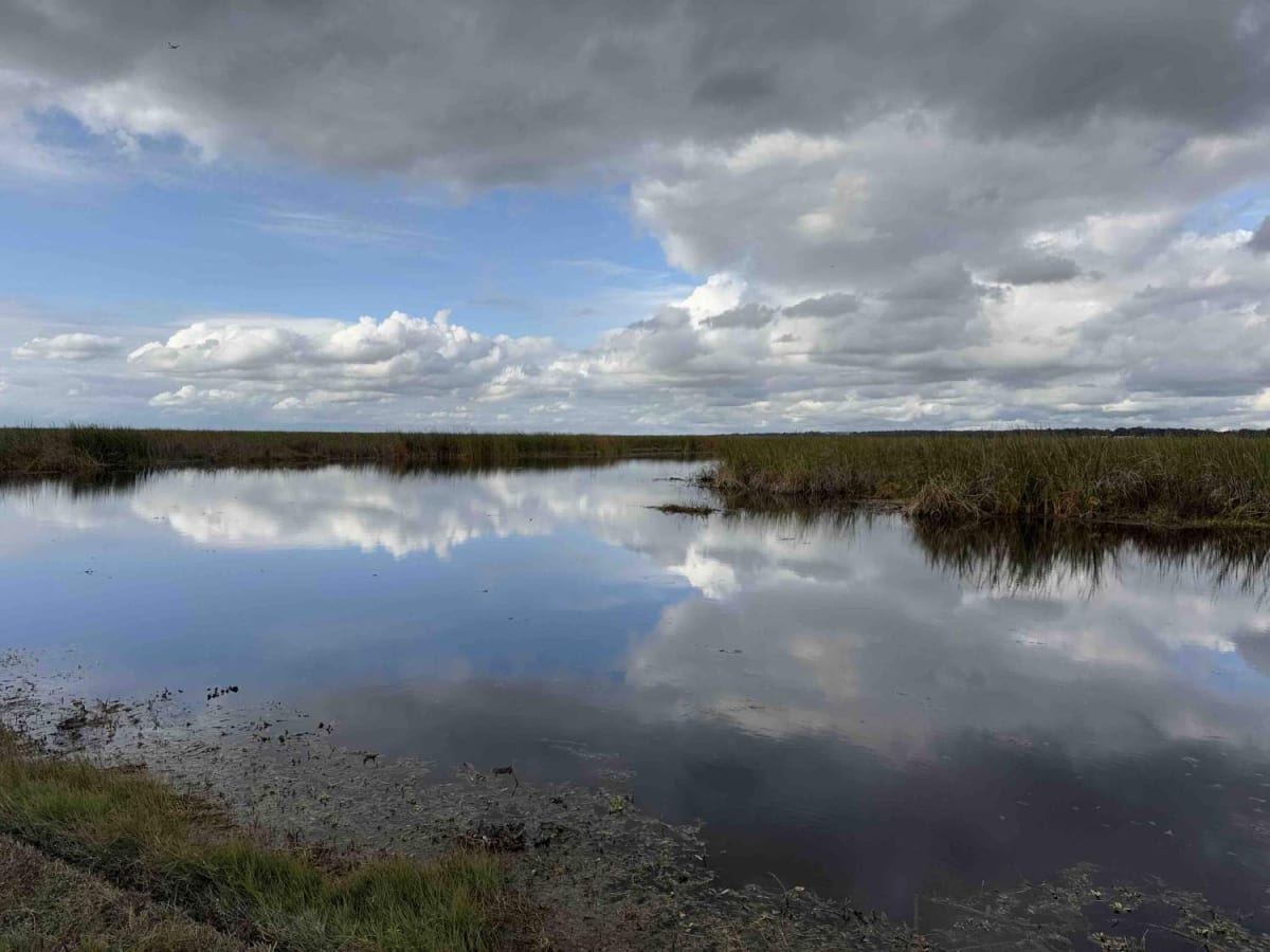 Lake Apopka Wildlife Drive photo 2