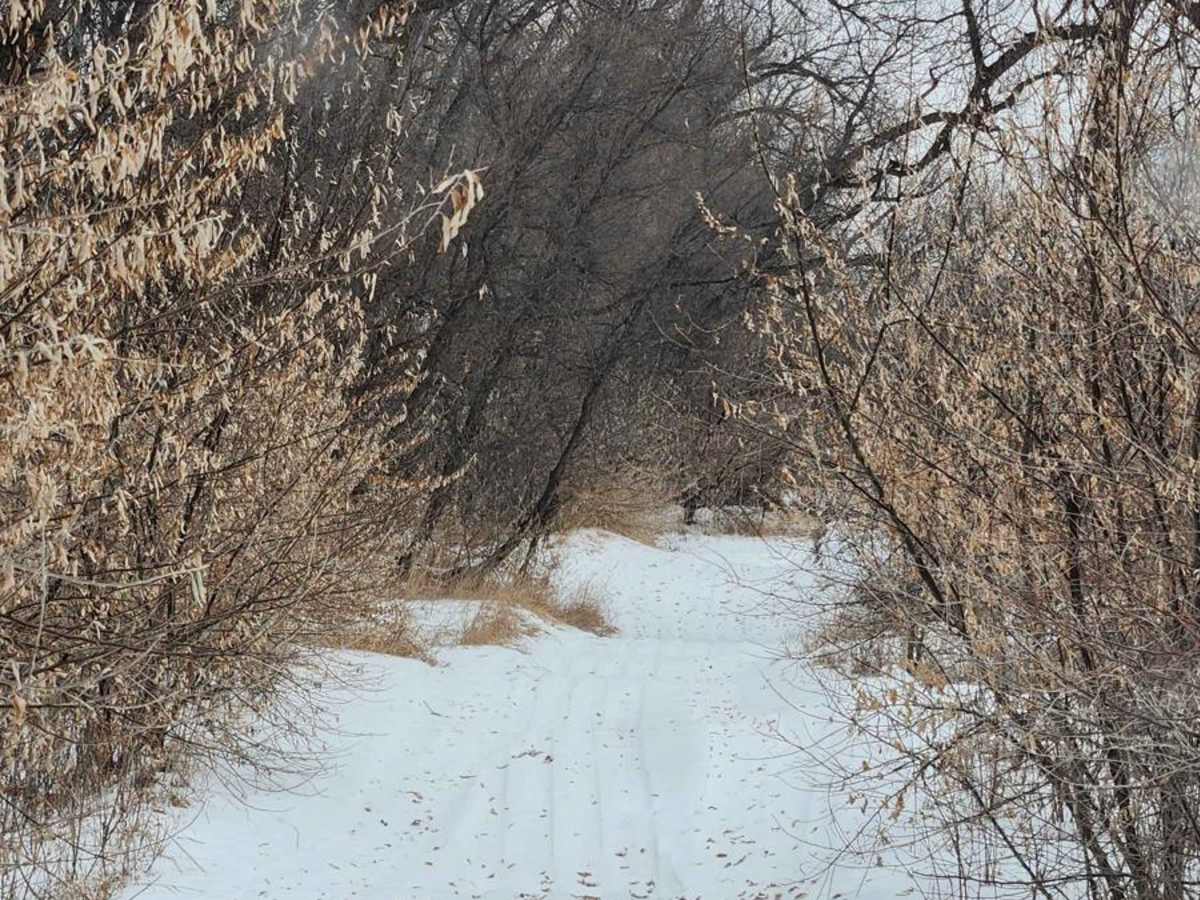 Missouri River Tour photo 4