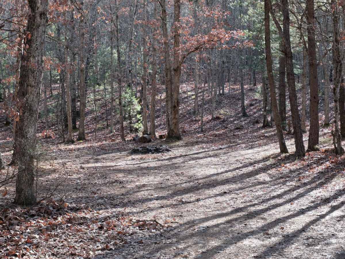 Patterson Creek photo 3