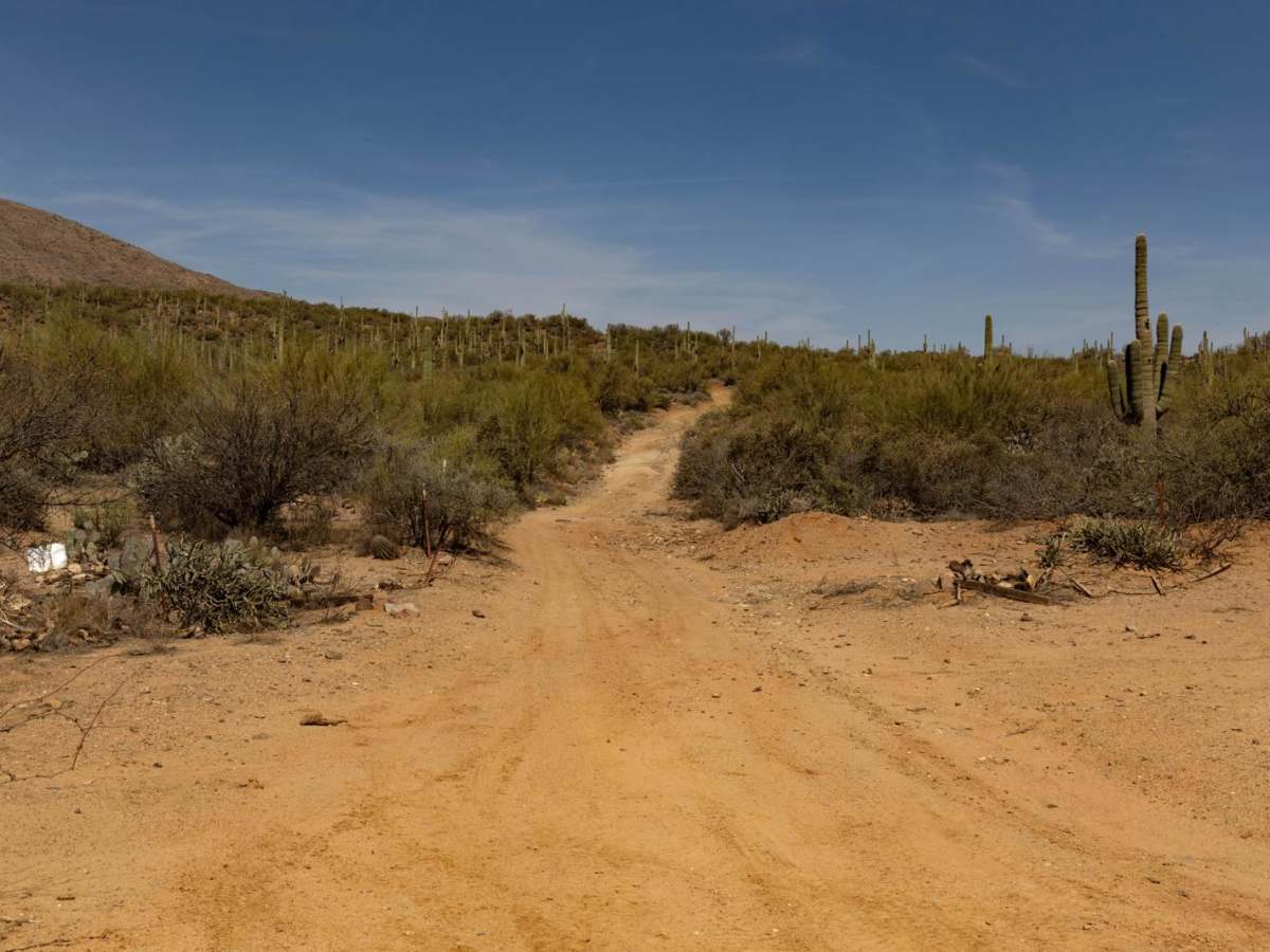 Nervy trail photo