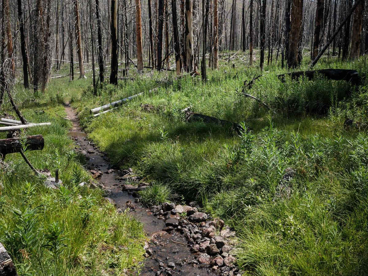 Squaw Creek trail photo