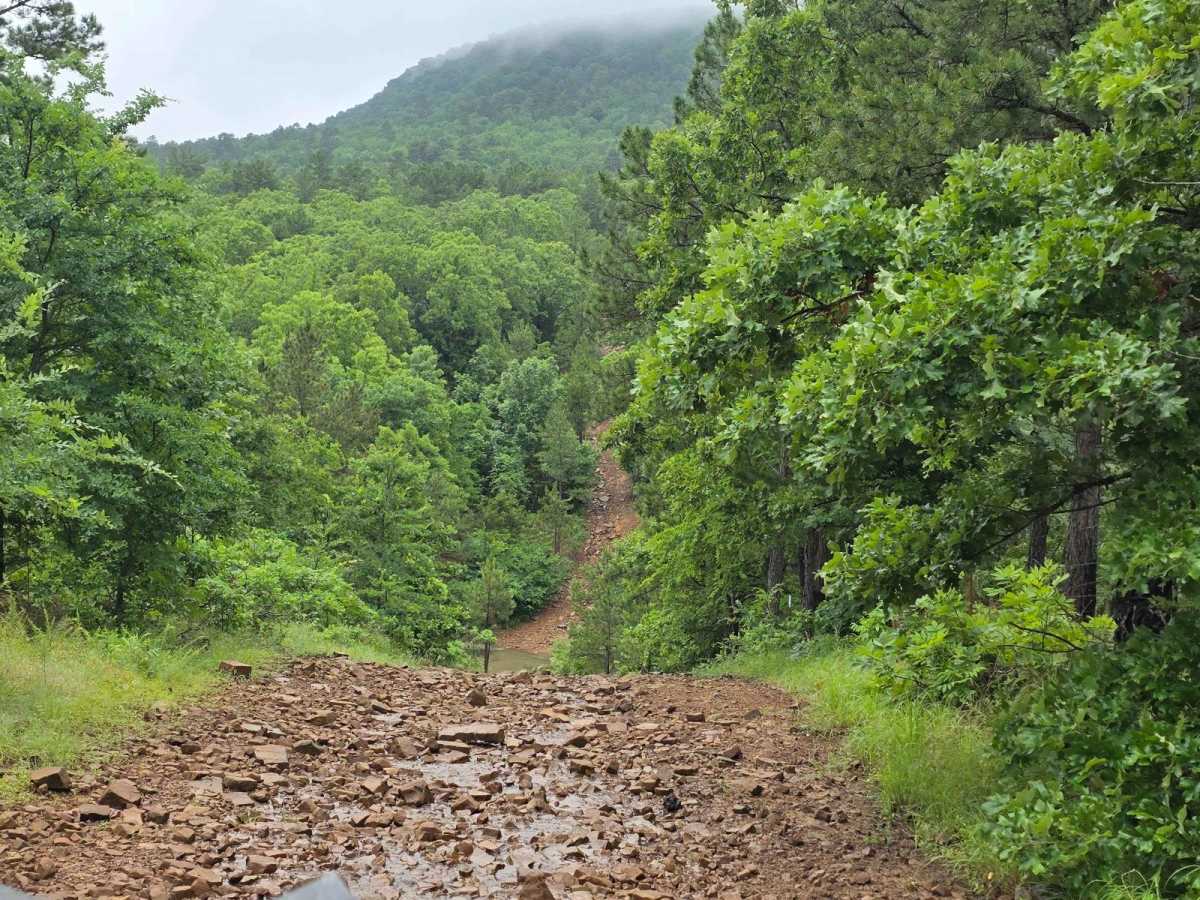West Boundry Trail photo 3