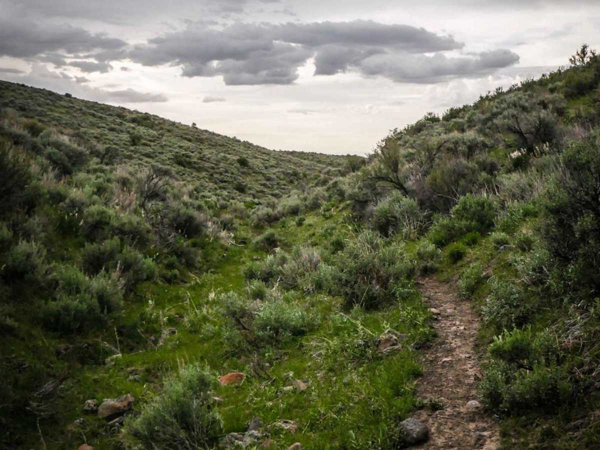 Sly Gulch photo 4