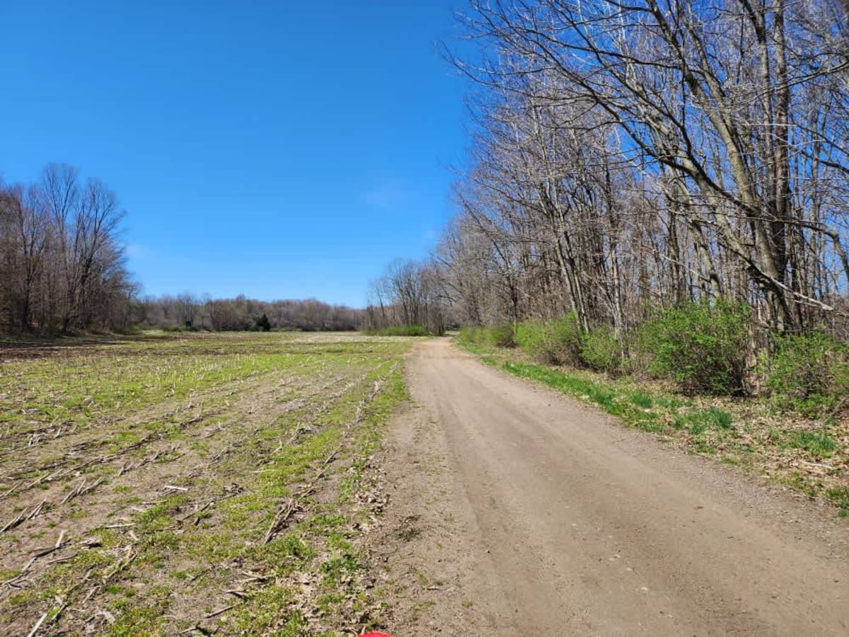 The Monteola Corridor photo 3