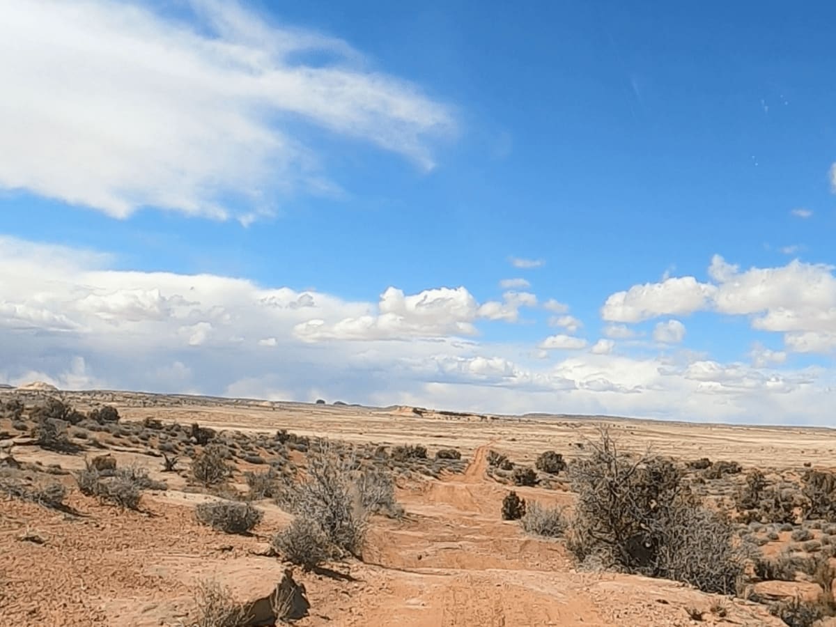 Route D1477 photo 2