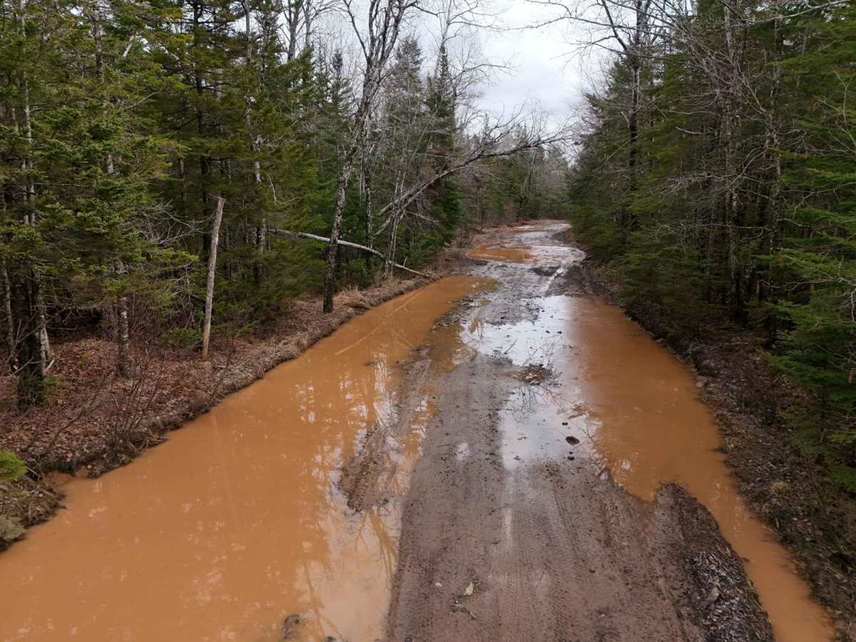 Renfrew Road trail photo