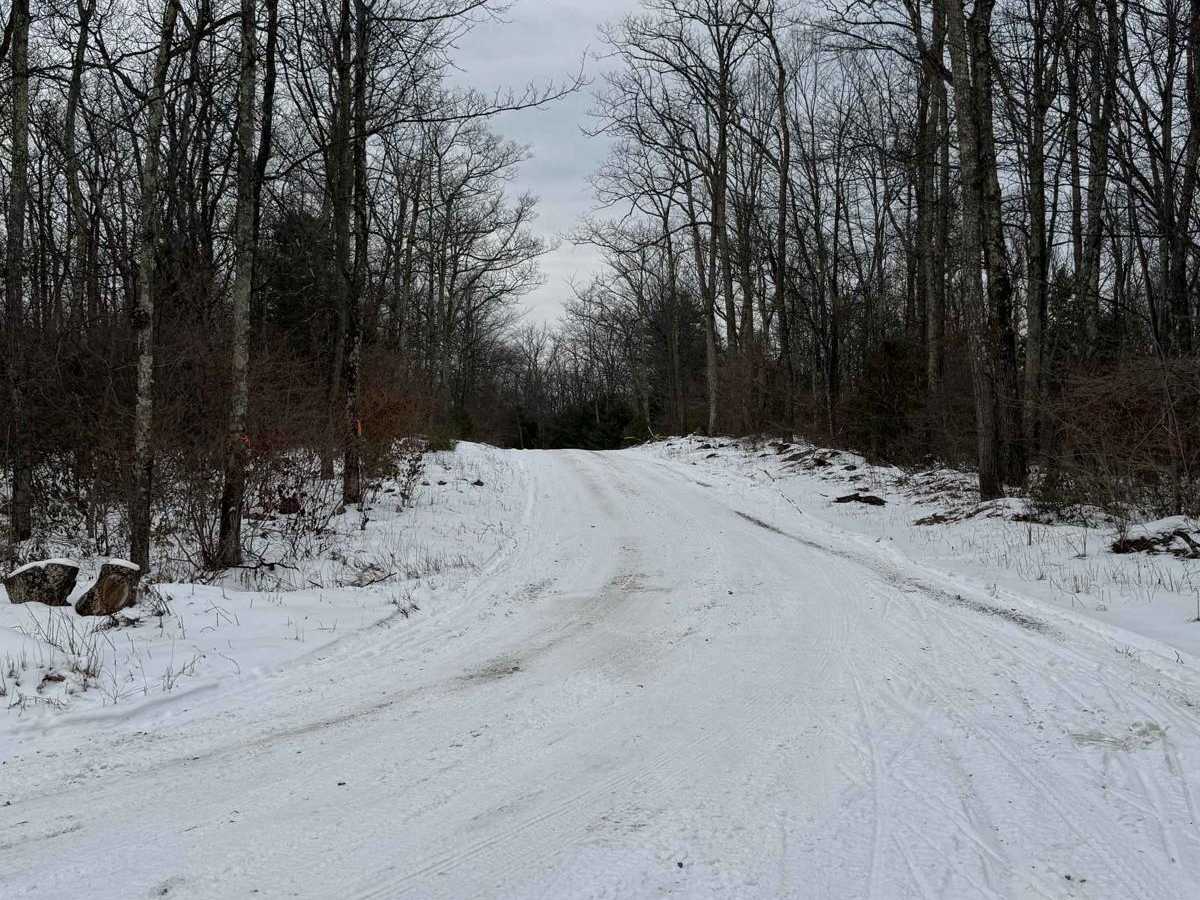 Cooper Mill Road photo 6