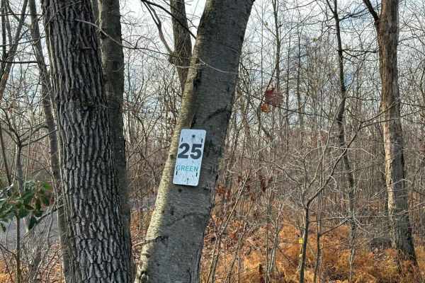25