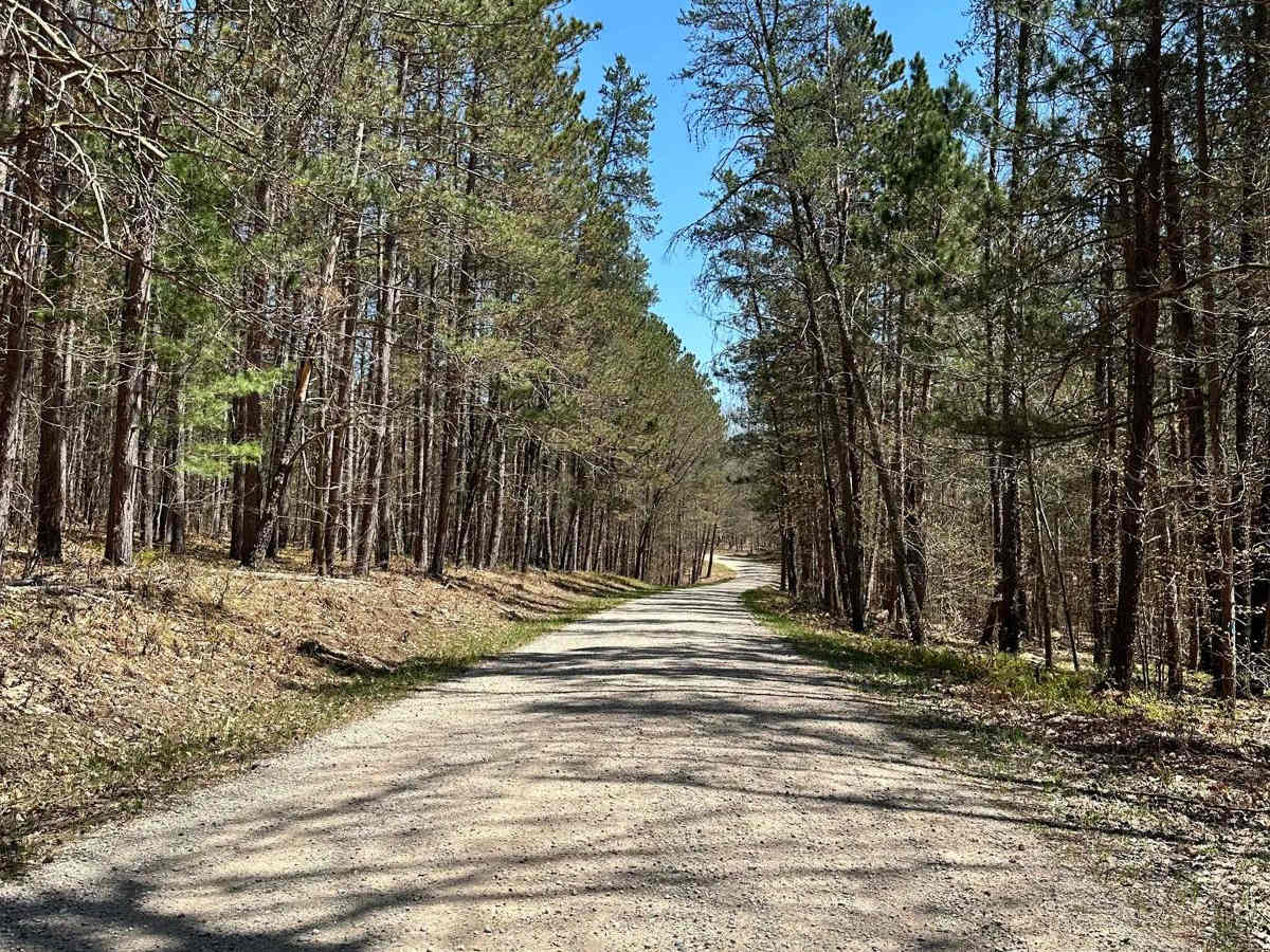 Cadillac Area ORV/OHV Scenic Ride - Part 18 photo 2