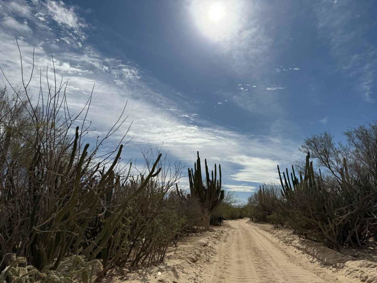 South of Los Planes/ San Blas Connecting Trail photo 4