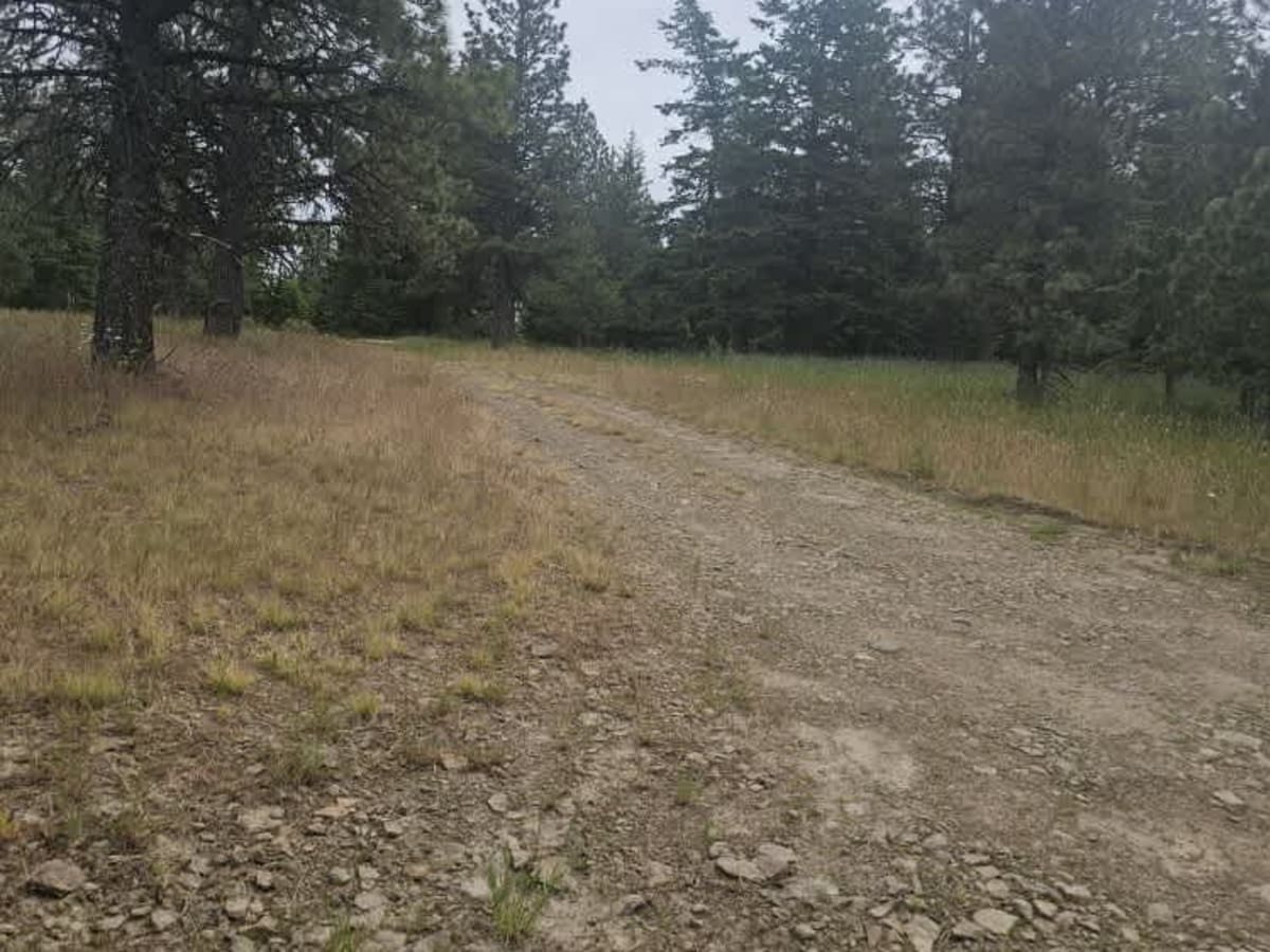 Ables Ridge photo 5