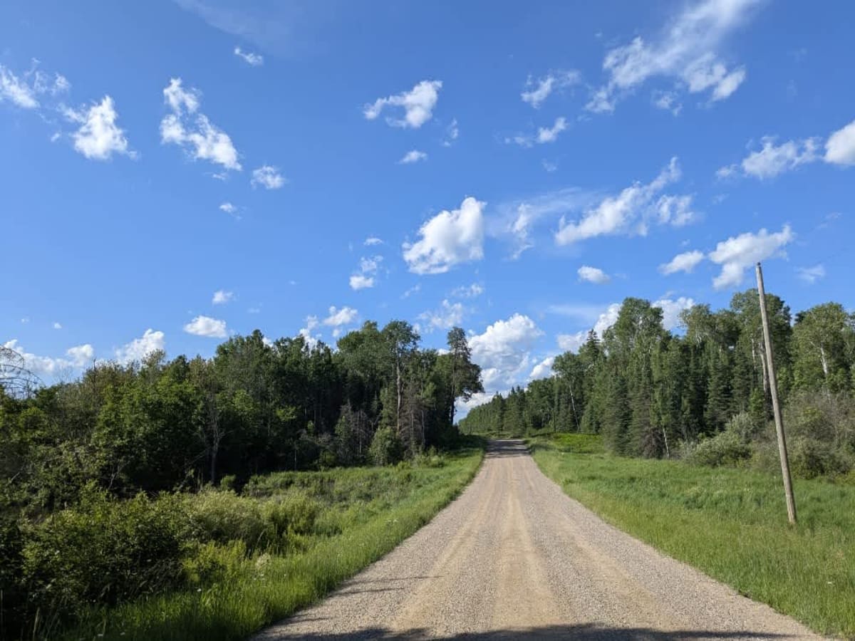 Sherwood Anderson trail photo