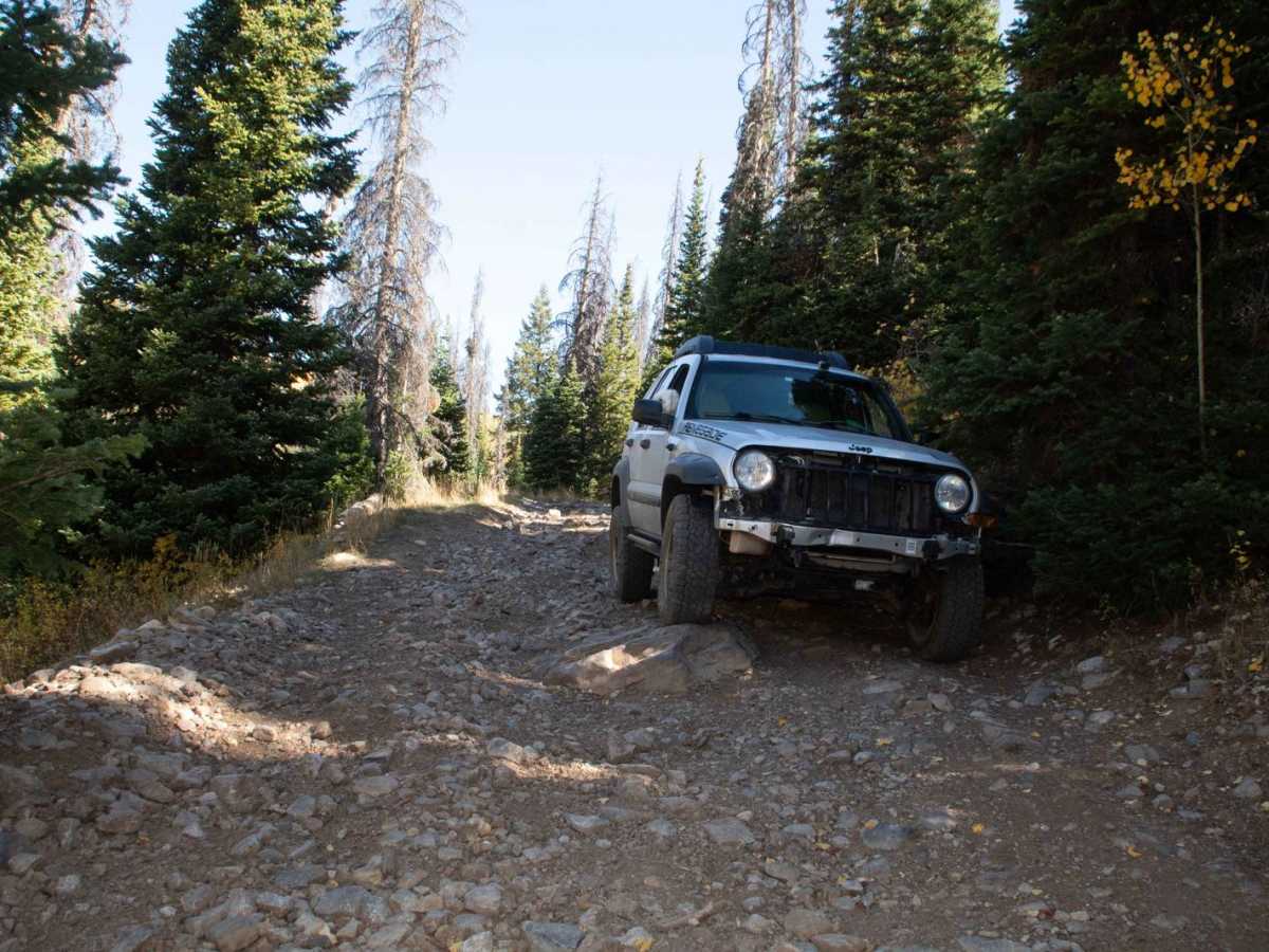 Lambert Hollow photo 3