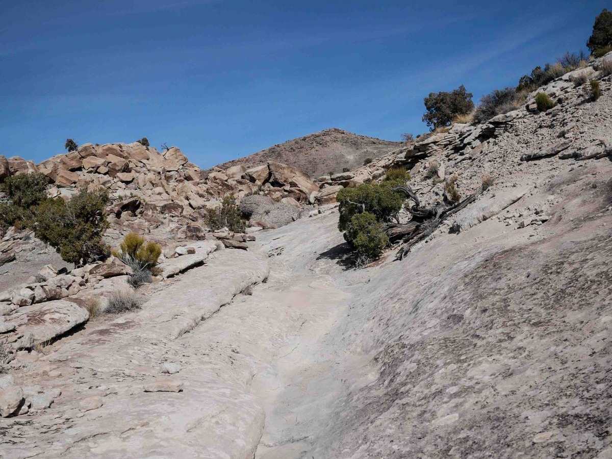 Summerville Access Trail photo 2