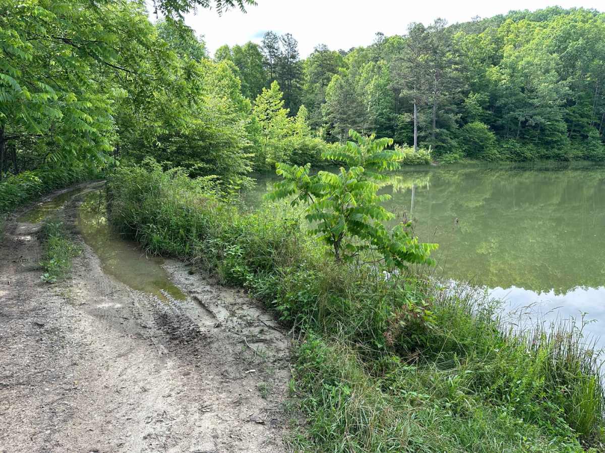 Pine Flat - Laurel Fork Road photo 2