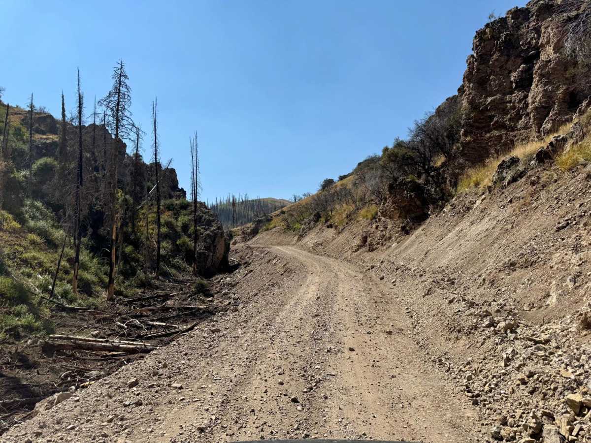 Trapper Creek - FS533 trail photo