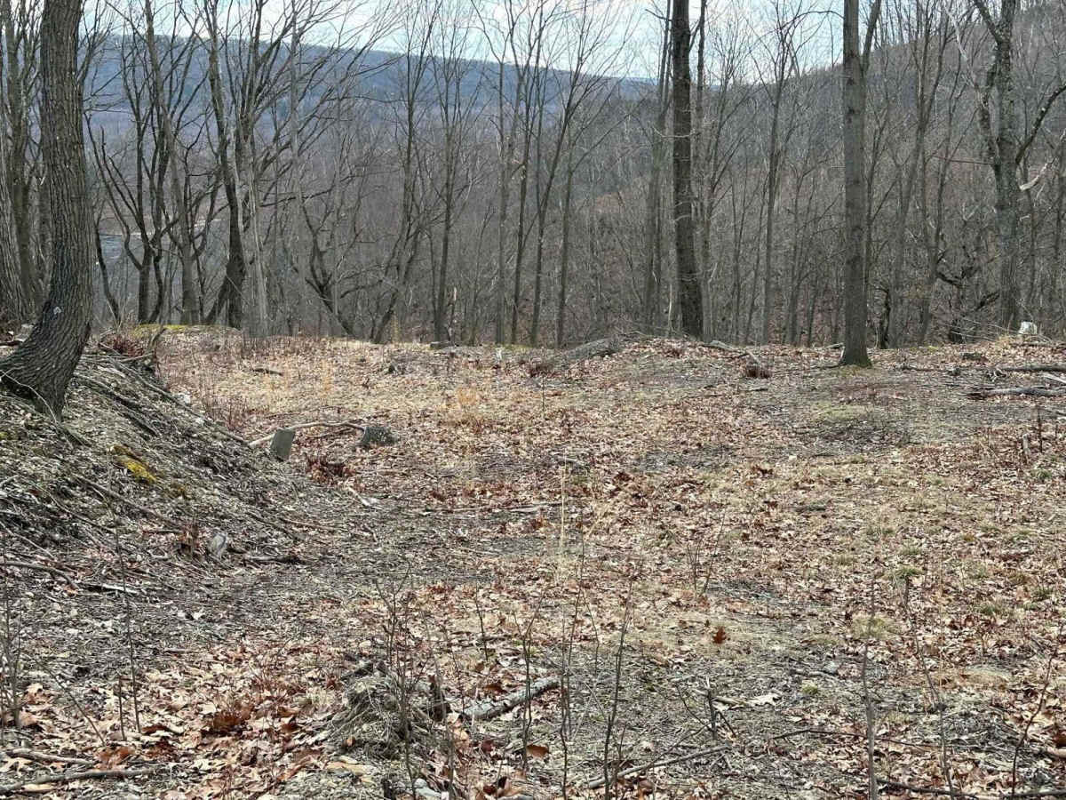 Ashland 66 photo 2