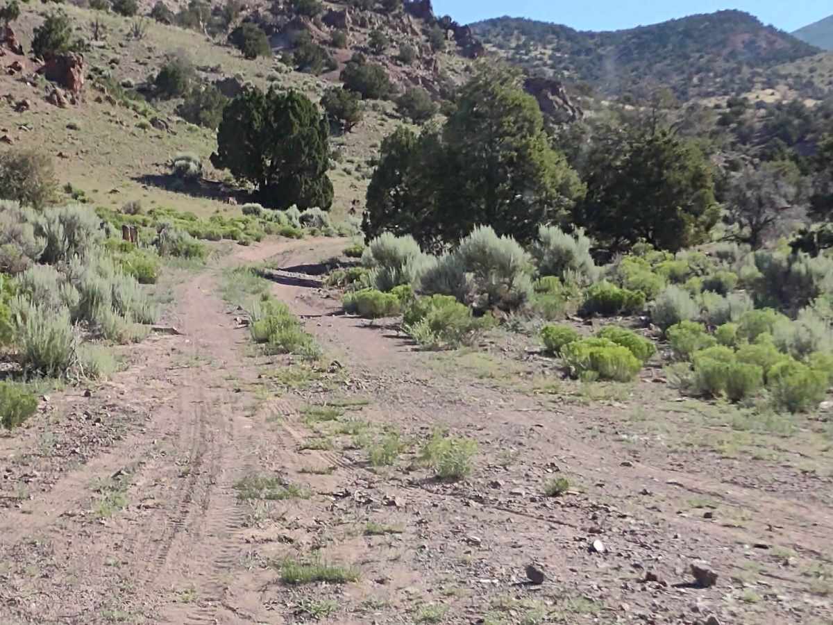 We're In A Tight Spot - BLM 5145 trail photo