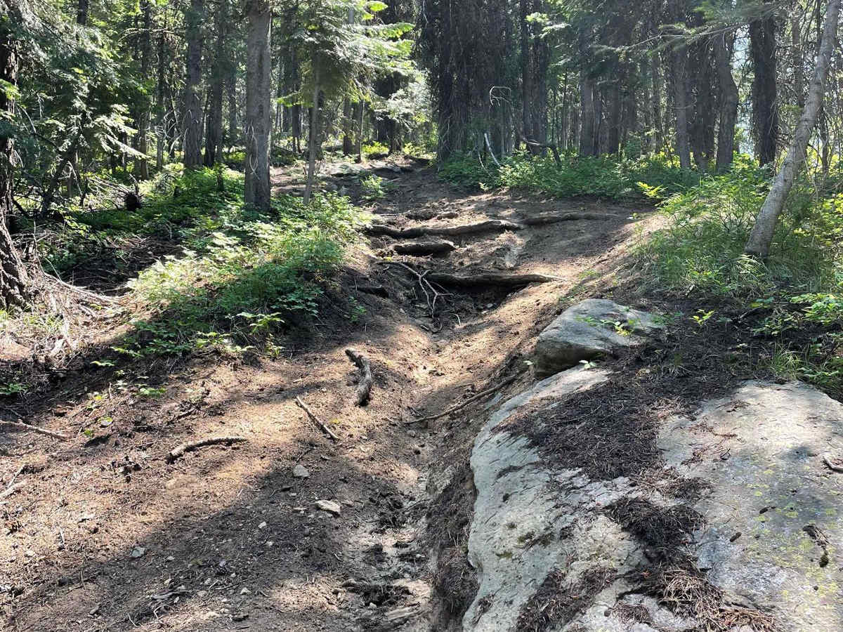 Morgan Lake photo 3