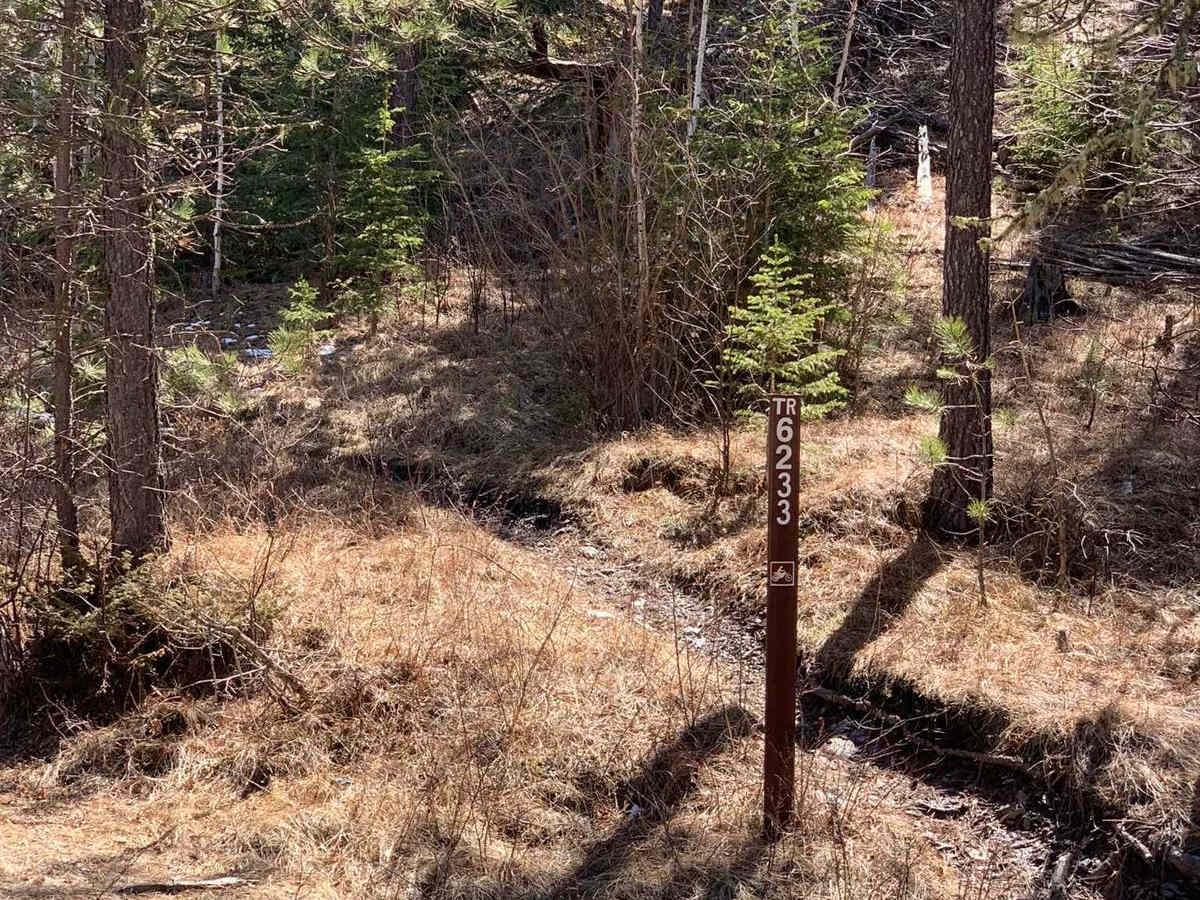 Merrit Peak Central to SE Leg trail photo