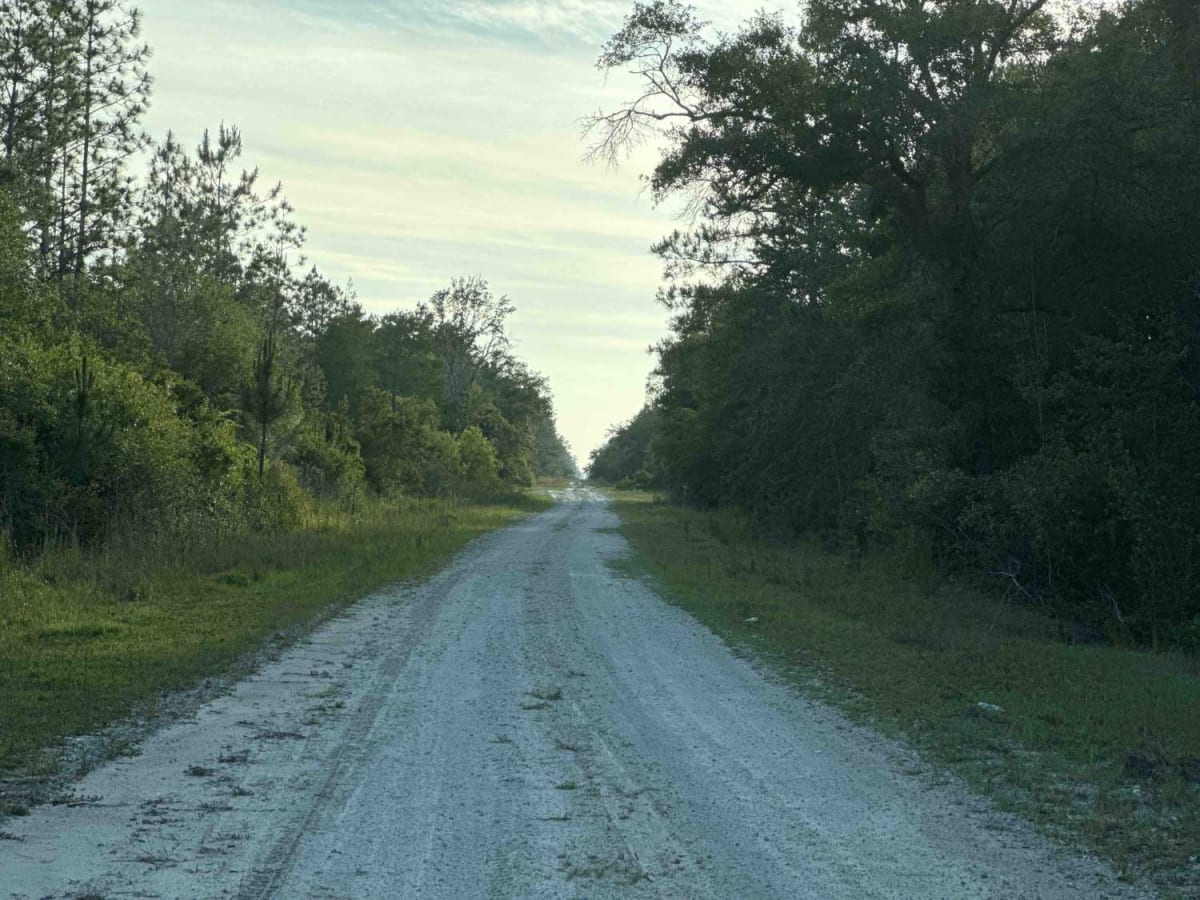 County Line Road photo 4