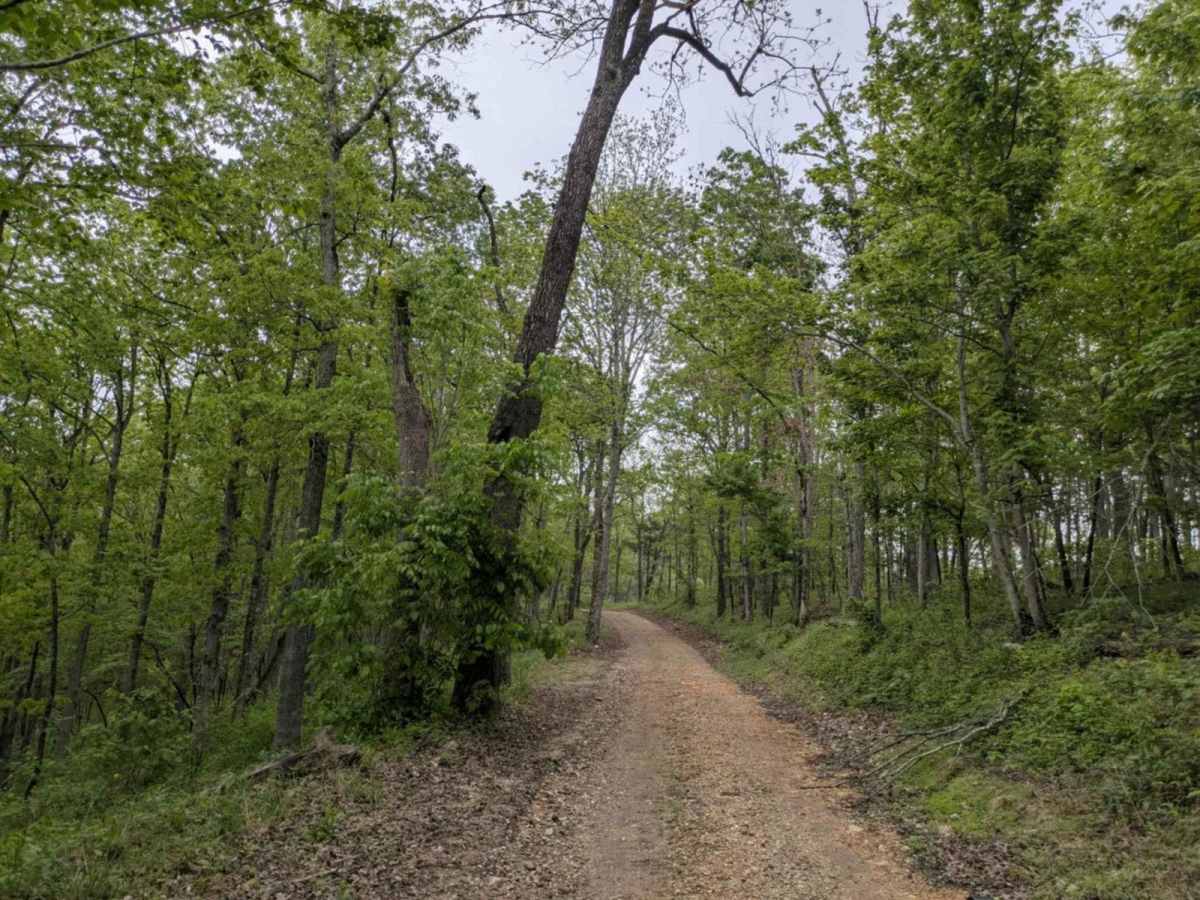 Gunner Pool Road trail photo