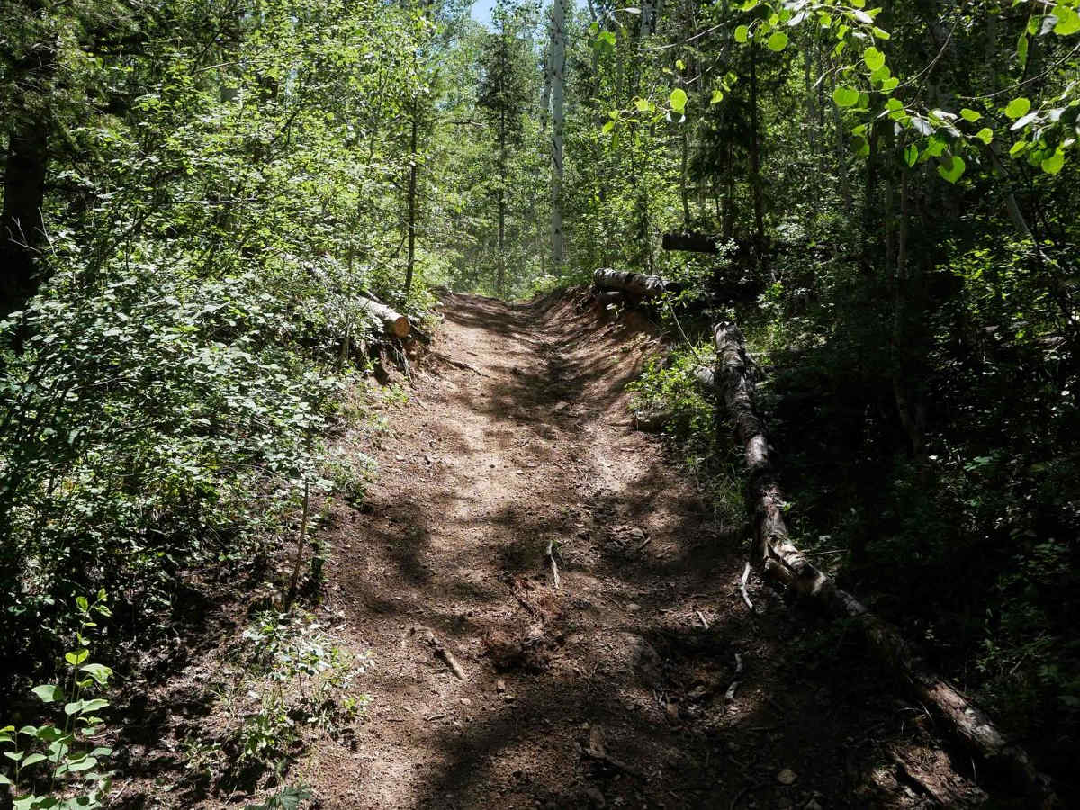 South Sulphur Canyon #5238  photo 4