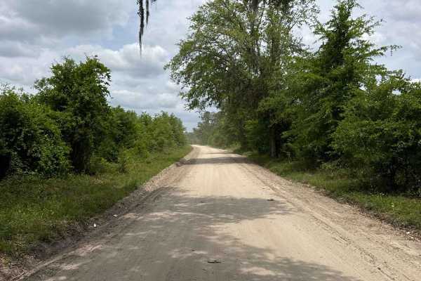 North East Needmore Road - Osceola NF