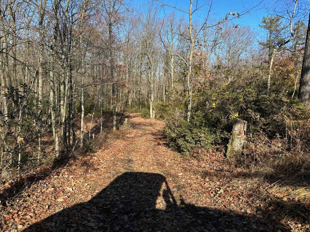 Darkwater 106 photo 5