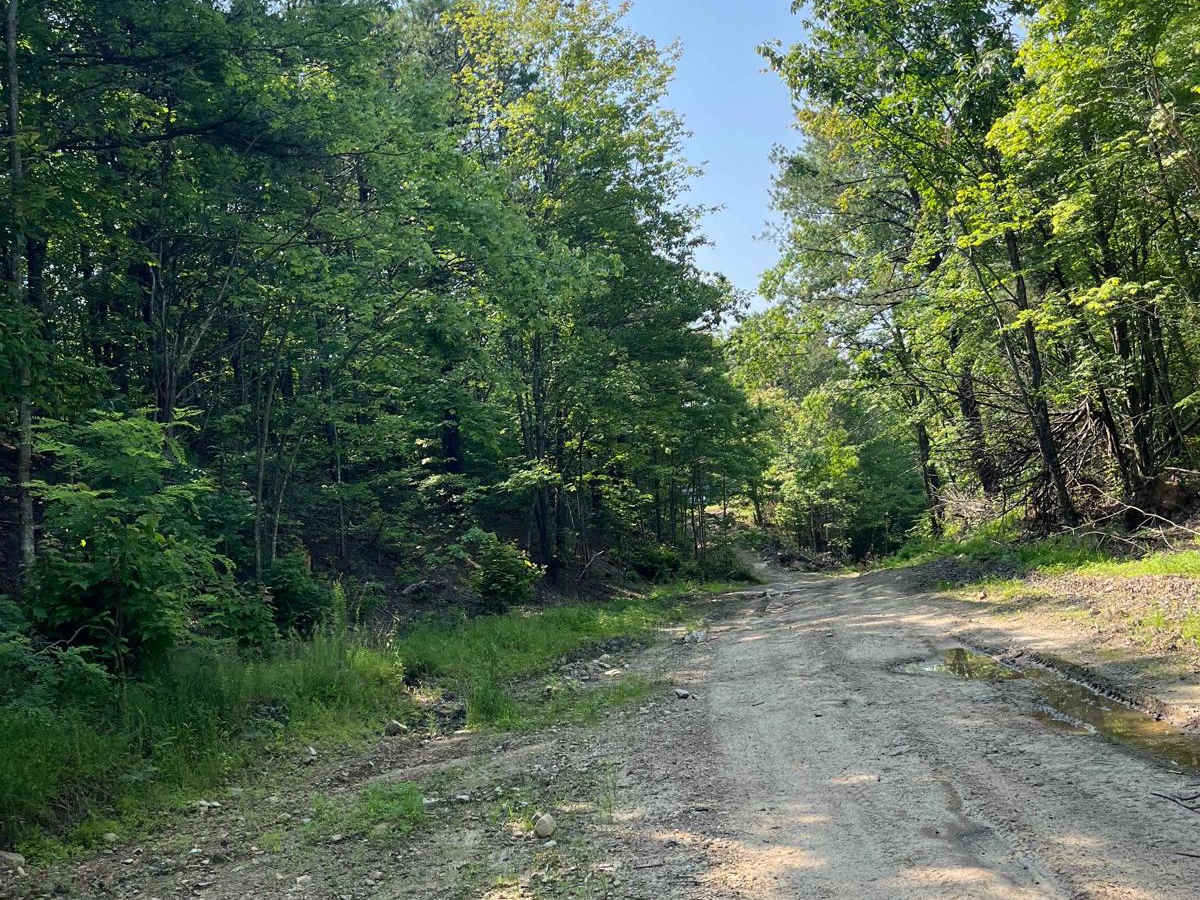Trail 5 photo 3