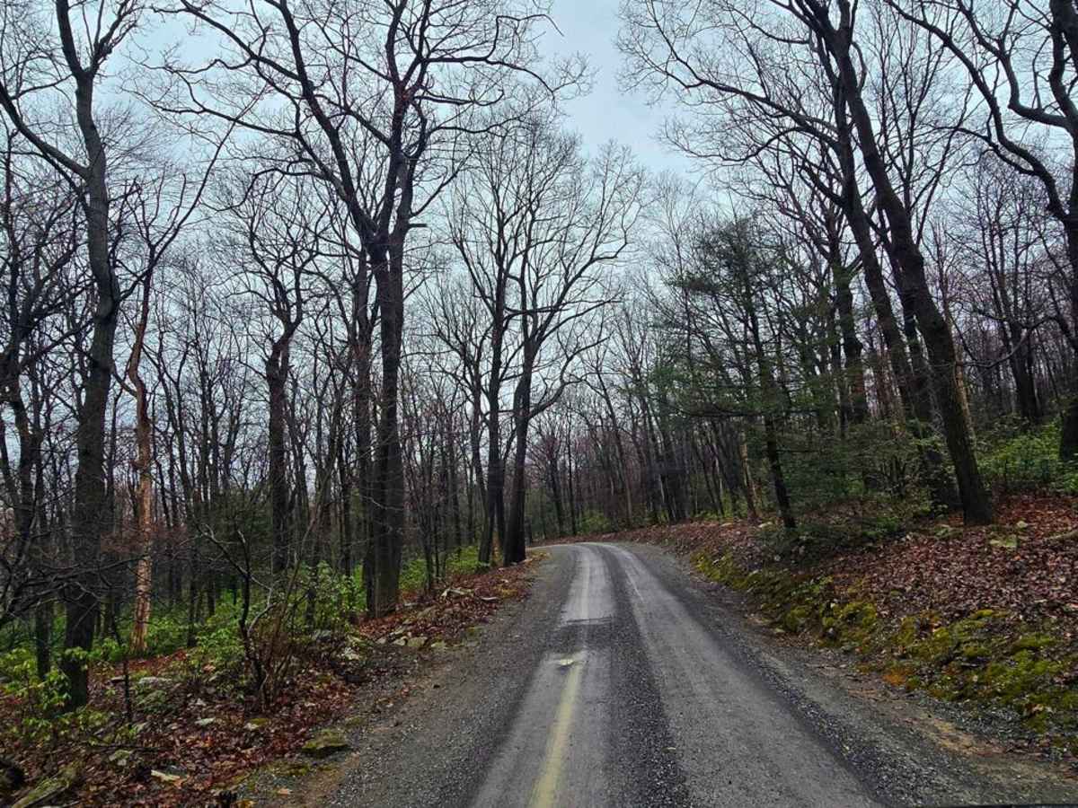 Cowpens Road photo 2