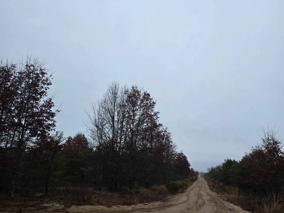North Dow Road photo 2