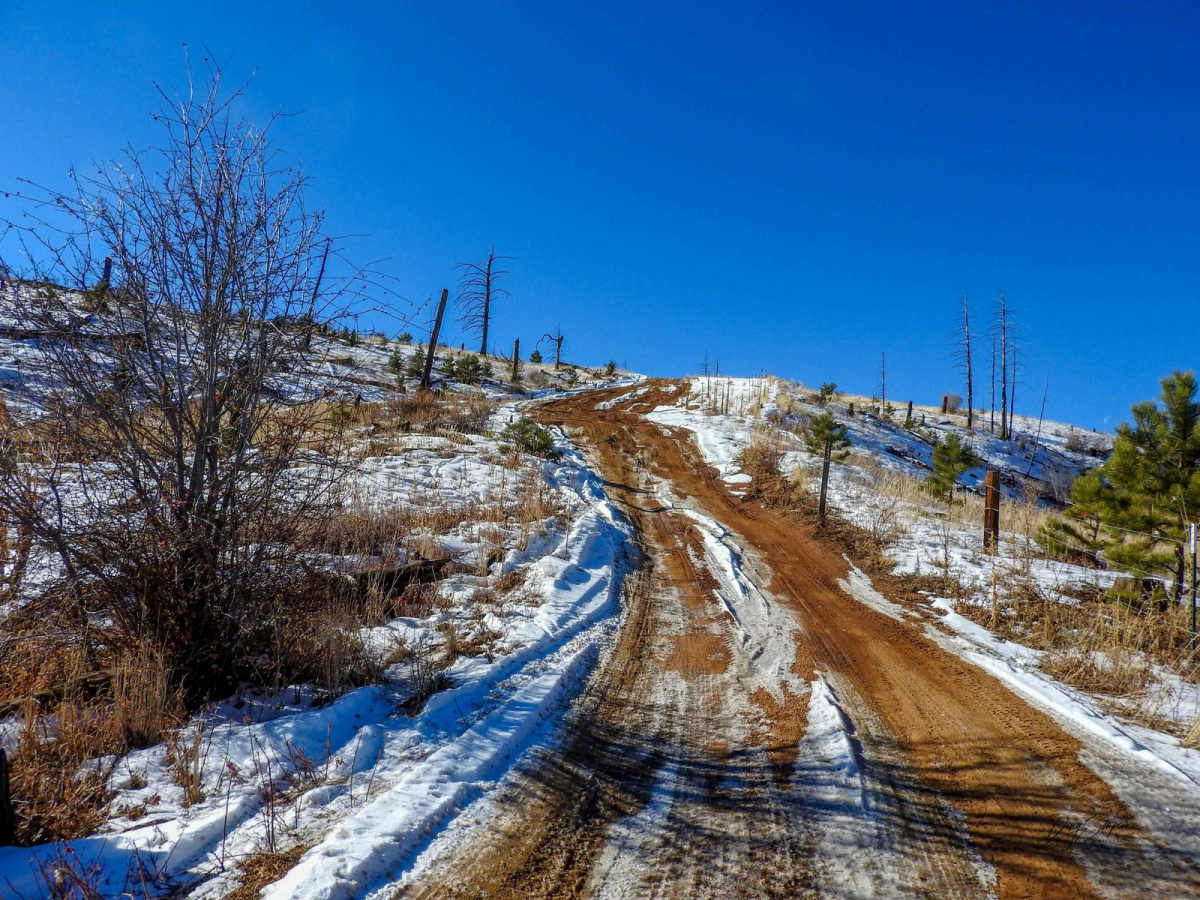 Turkey Trac Forest Road 343 photo 5