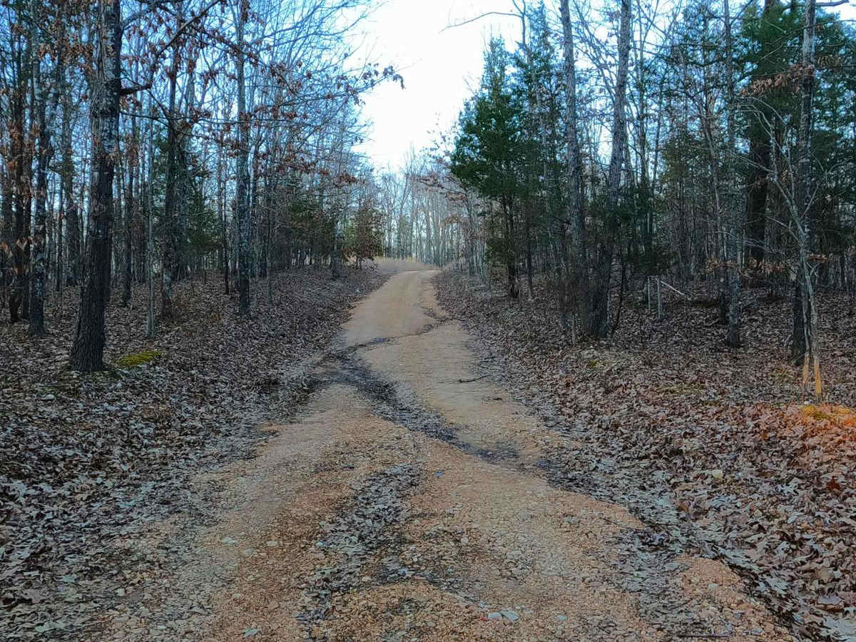 Benberry Cemetery Road - FS 301 photo 6