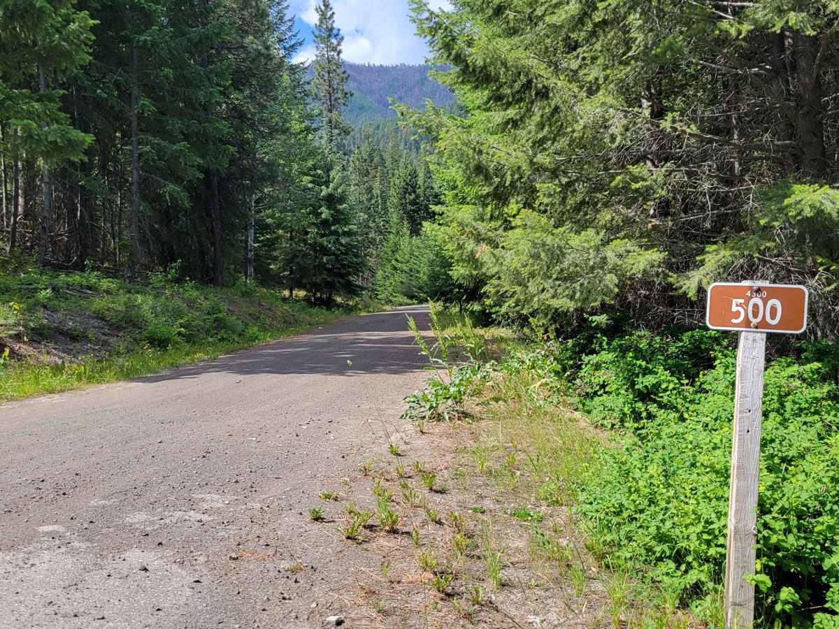 NF 500 - West Fork Buttermilk trail photo
