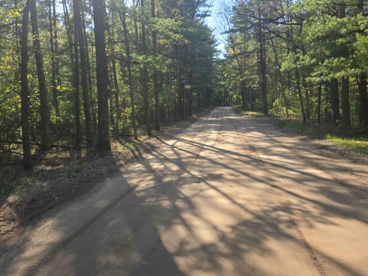 Dow Road trail photo
