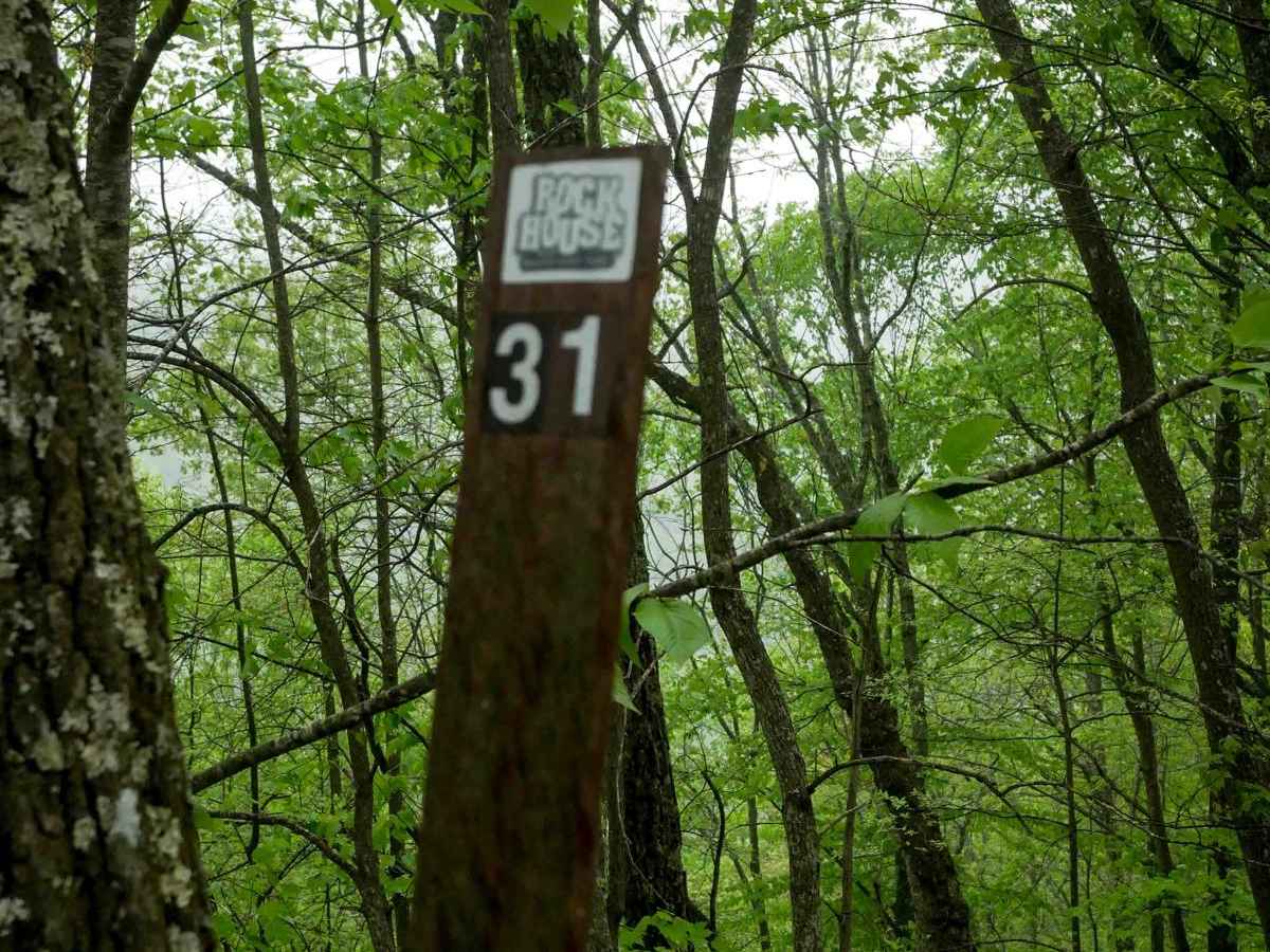 RH 31 photo 5