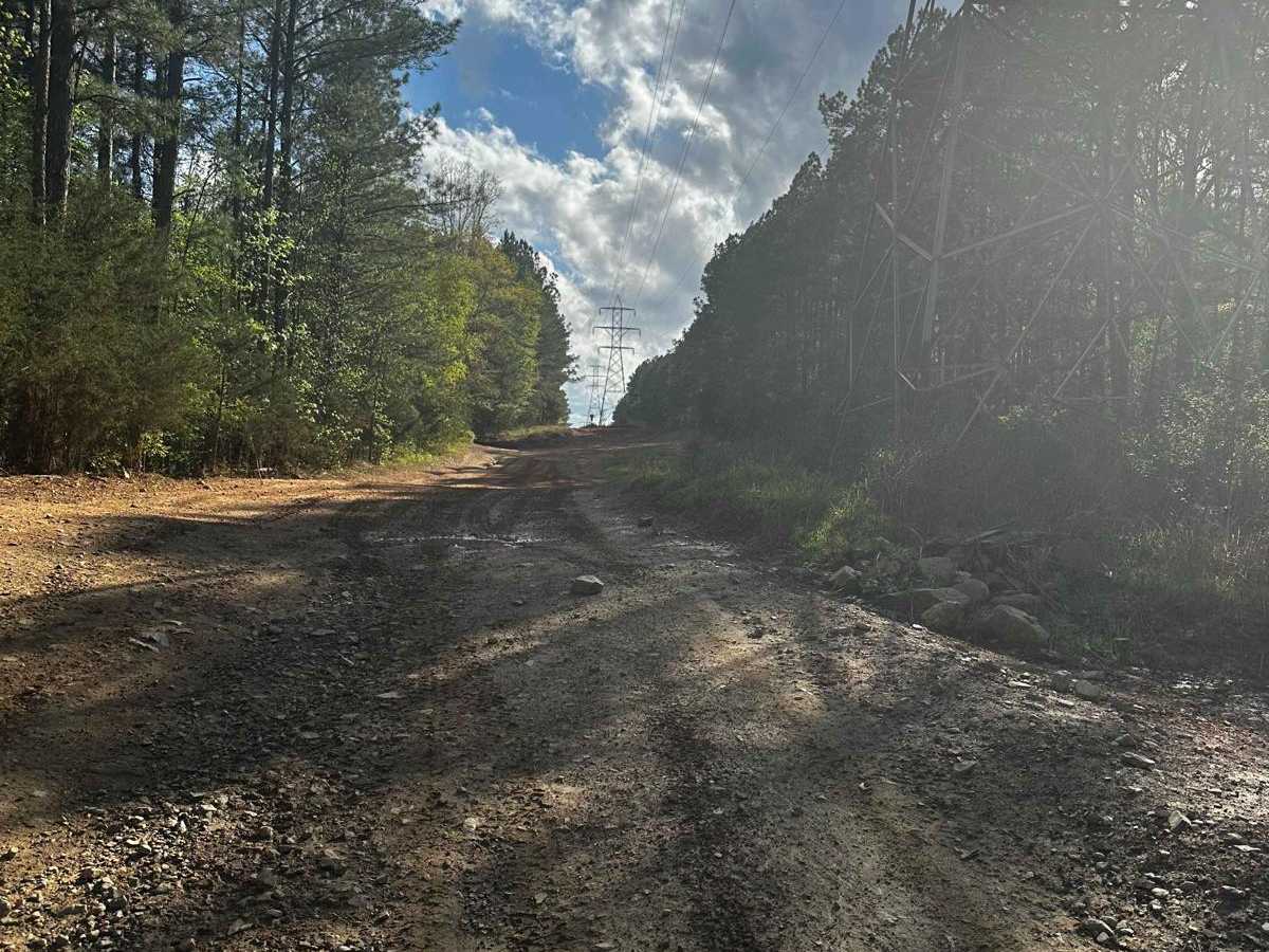 Trail 11 photo 5