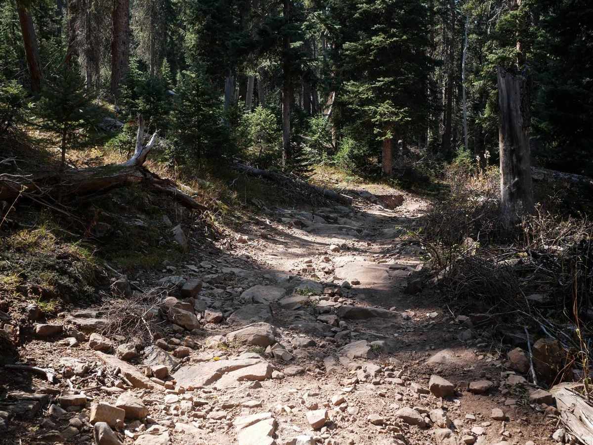 Spring Creek ATV Trail (West) photo 2