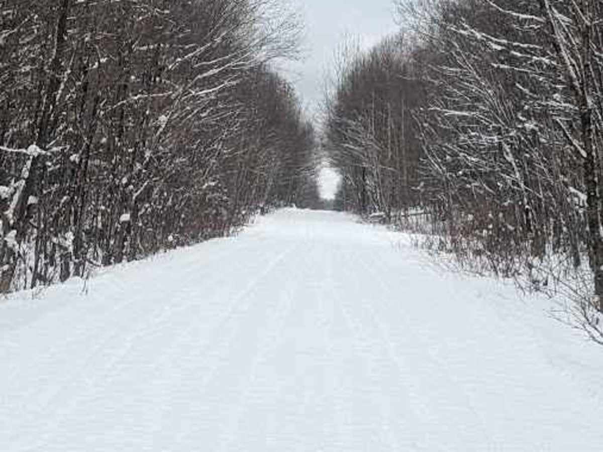 Little Owl Lake Trail photo 2