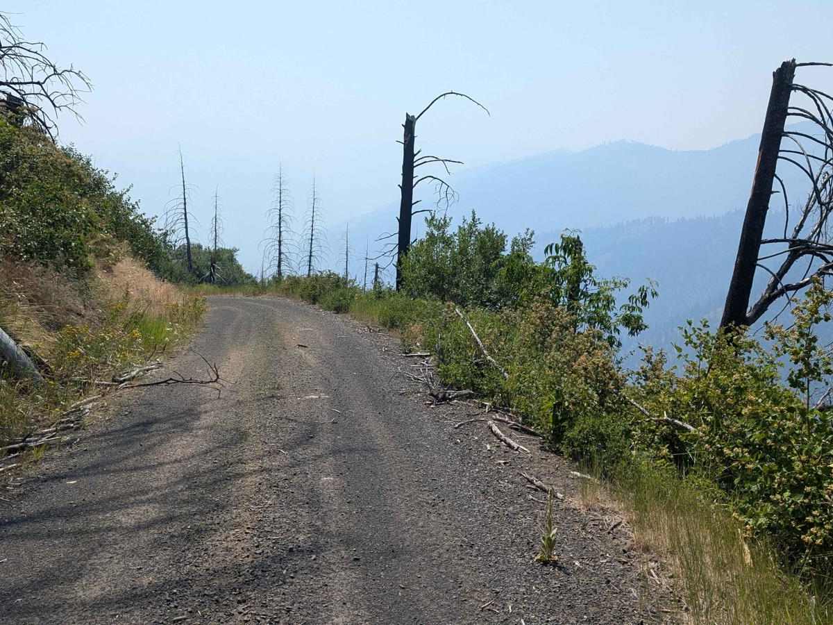 FS 536-Keating Ridge Road photo 6