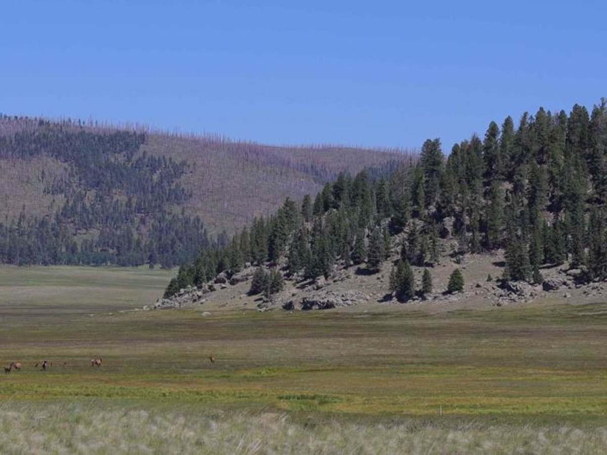Valle Grande Edge photo 2